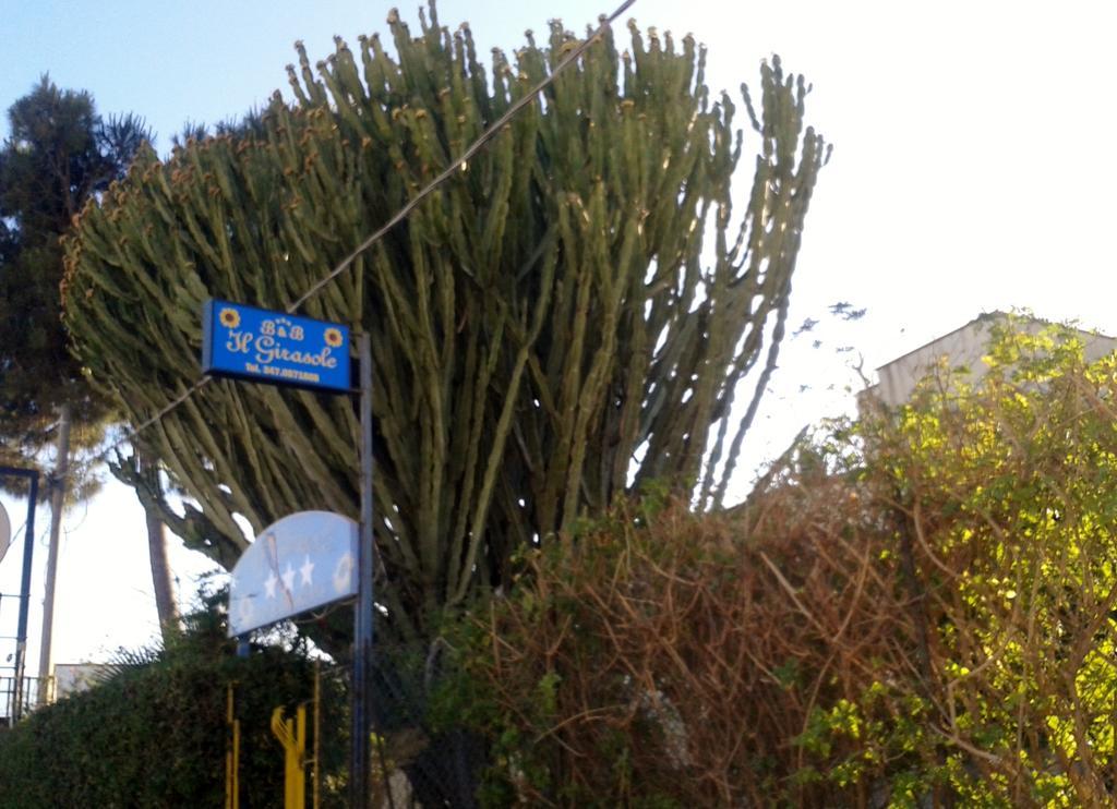 B&B Il Girasole โนโต ภายนอก รูปภาพ
