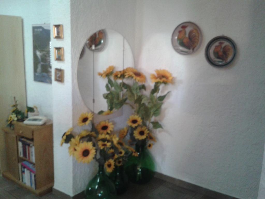 B&B Il Girasole โนโต ภายนอก รูปภาพ