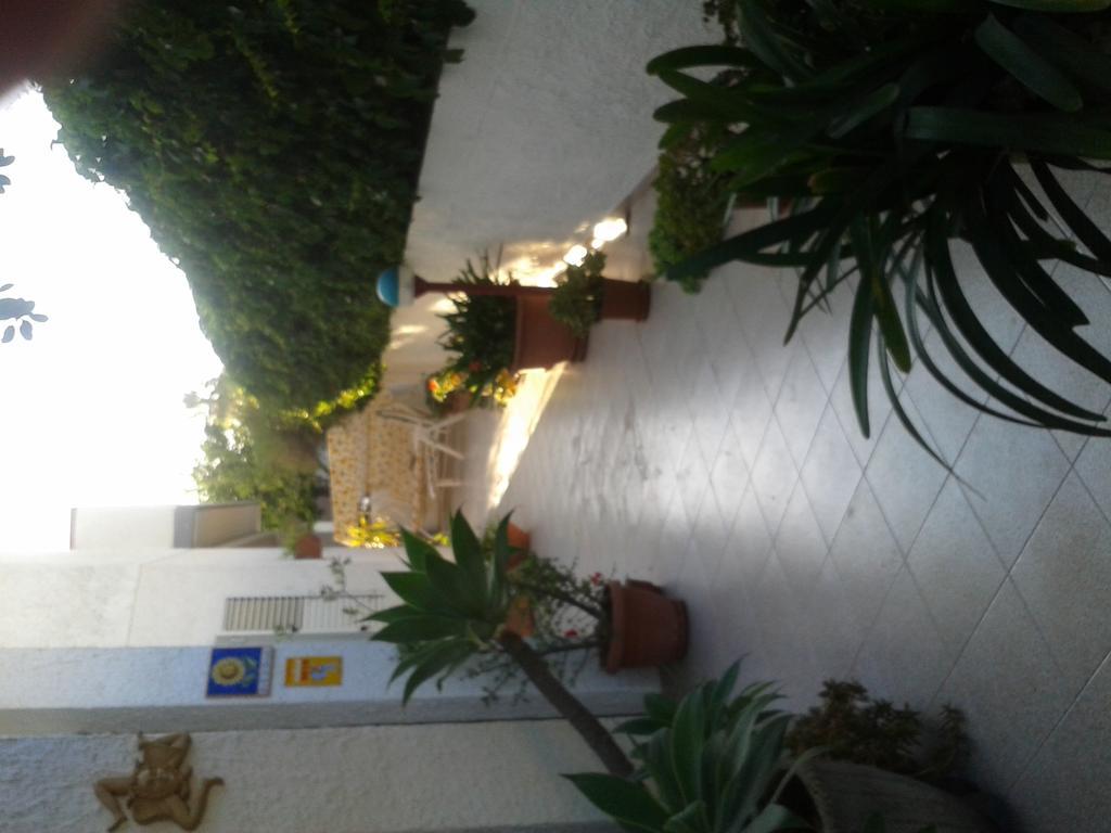 B&B Il Girasole โนโต ภายนอก รูปภาพ