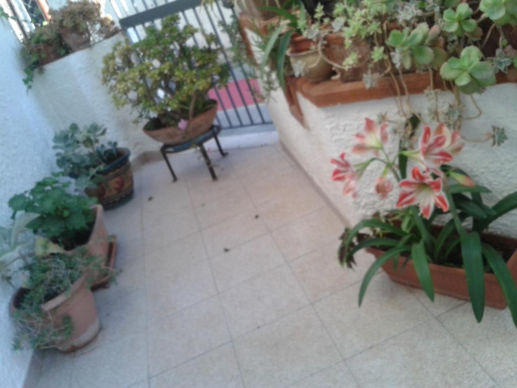 B&B Il Girasole โนโต ภายนอก รูปภาพ