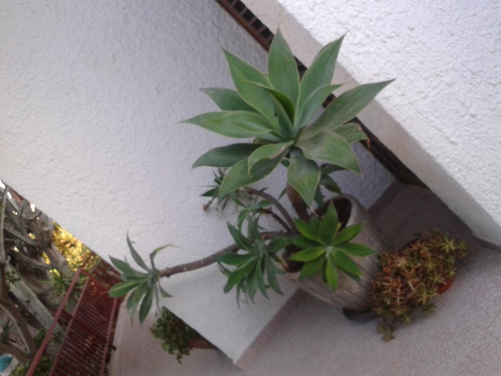 B&B Il Girasole โนโต ภายนอก รูปภาพ