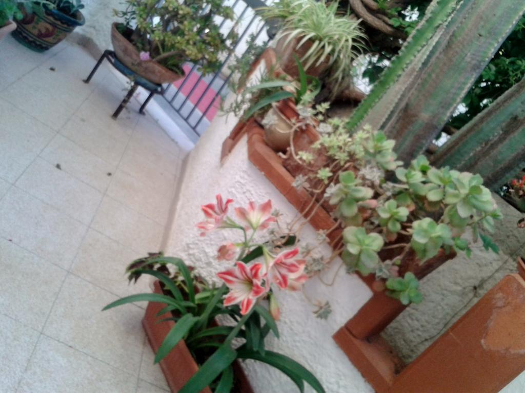 B&B Il Girasole โนโต ภายนอก รูปภาพ